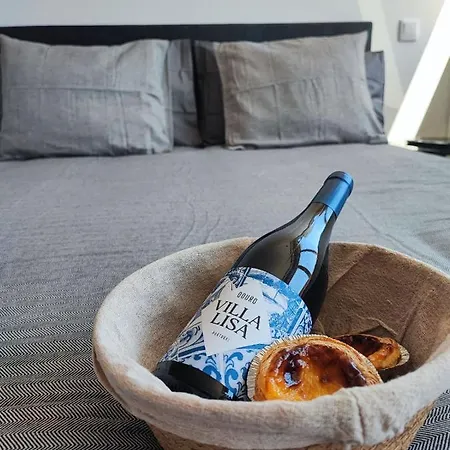 O Flamingo Appartement Ovar