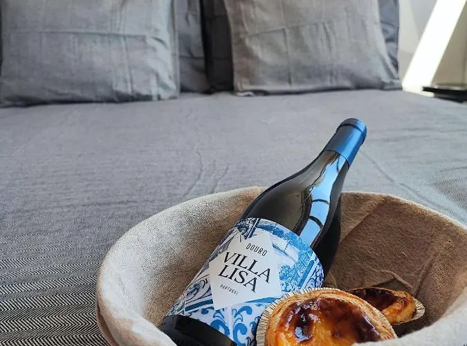 O Flamingo Apartment Ovar