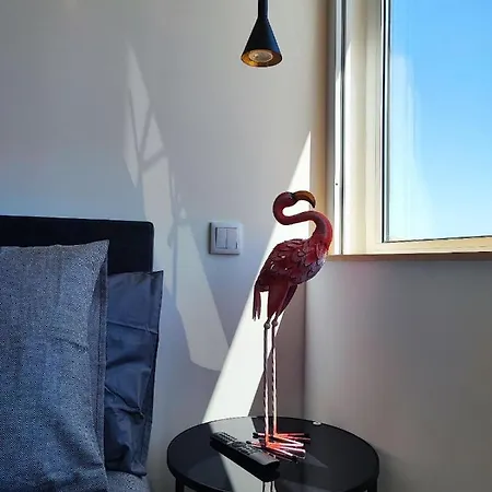 O Flamingo